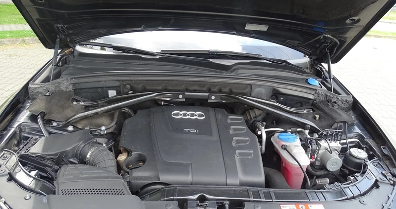 Audi Q5 cena 49900 przebieg: 234000, rok produkcji 2008 z Jedwabne małe 301